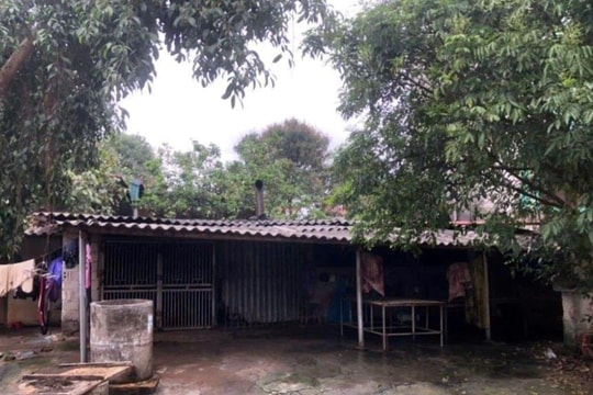 Dừng hoạt động cơ sở giết mổ lợn vì mất vệ sinh môi trường