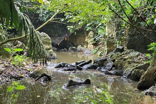 Thanh Hóa: Nguyên nhân nước suối Lèn Cò Noóng bị ô nhiễm