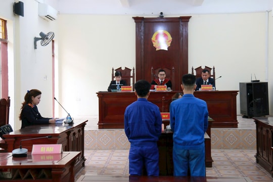 Xét xử vụ án tổ chức sử dụng ma túy