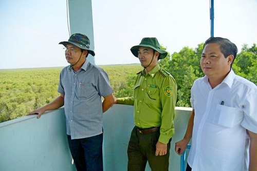 Bí thư Tỉnh ủy Kiên Giang kiểm tra công tác phòng chống cháy rừng