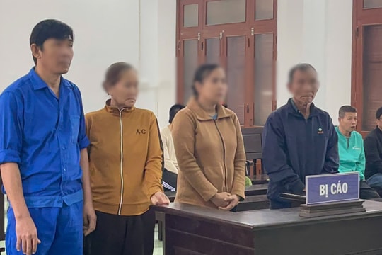 Con rể đưa gia đình nhà vợ vướng vòng lao lý