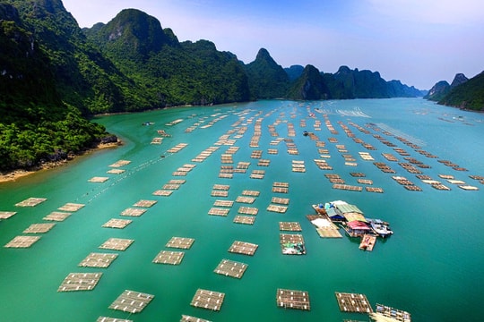 Điểm đến mới hấp dẫn trên bản đồ du lịch Quảng Ninh