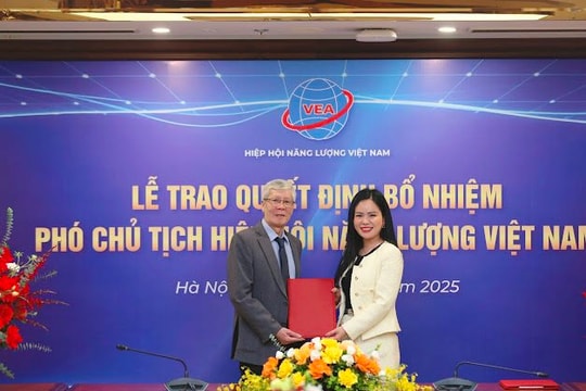 Lãnh đạo cấp cao T&T Group làm Phó Chủ tịch Hiệp hội Năng lượng Việt Nam