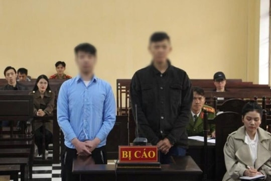 Du khách nước ngoài lĩnh án khi lái xe không có bằng