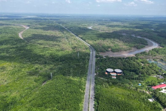 Metro nối trung tâm TP.HCM với Cần Giờ hơn 4 tỷ USD sẽ làm như thế nào?