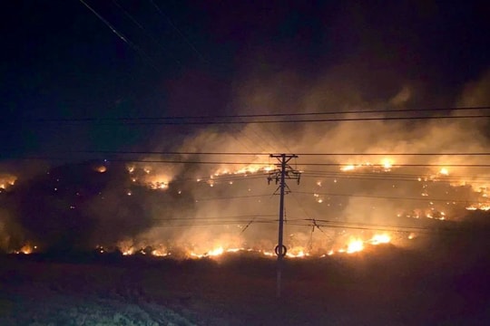 Bình Thuận: Dập tắt đám cháy lớn tại khu vực Núi Tàu