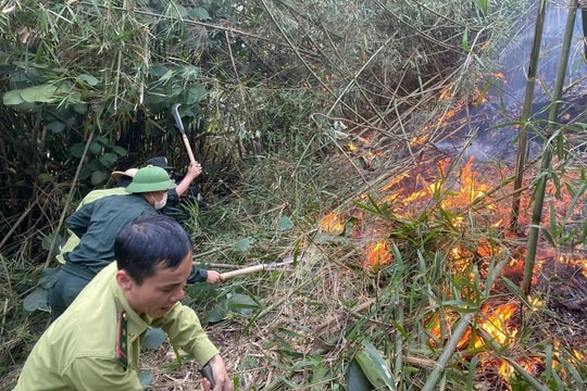 Gần 500 người tham gia chữa cháy rừng tại Tuyên Quang