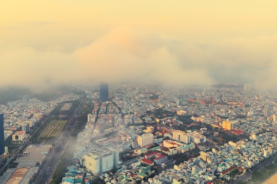 Bình Định tạm dừng mua sắm ô tô phục vụ cơ quan Nhà nước