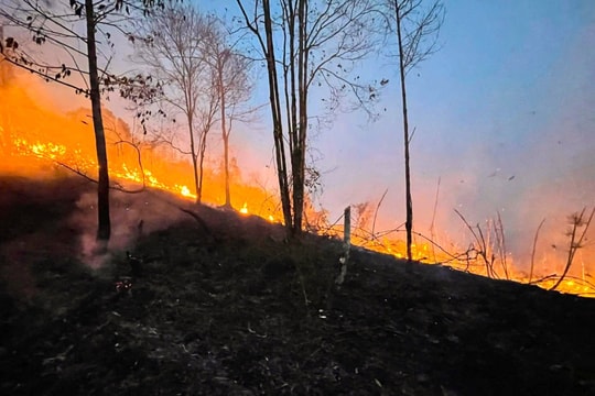 Cháy hơn 10ha rừng tự nhiên Khuôn Tát