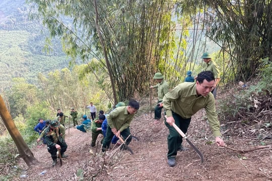 Tuyên Quang: 56 xã có nguy cơ cháy rừng cấp rất nguy hiểm