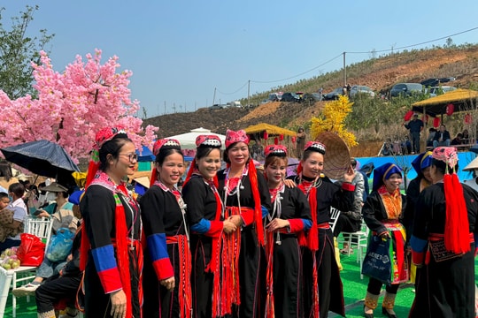 Rực rỡ Lễ hội hoa anh đào trên vùng cao Kỳ Thượng