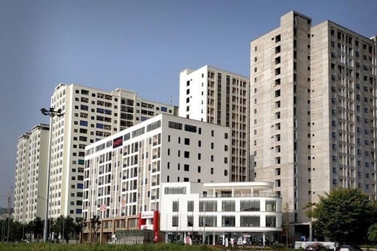 Đề xuất chọn nhà đầu tư dự án nhà ở xã hội không qua đấu thầu