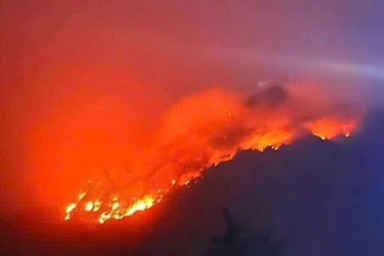 Một người tử vong khi tham gia chữa cháy rừng