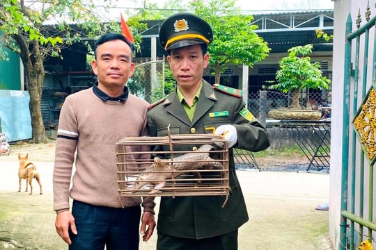 Tiếp nhận động vật rừng do người dân tự nguyện giao nộp