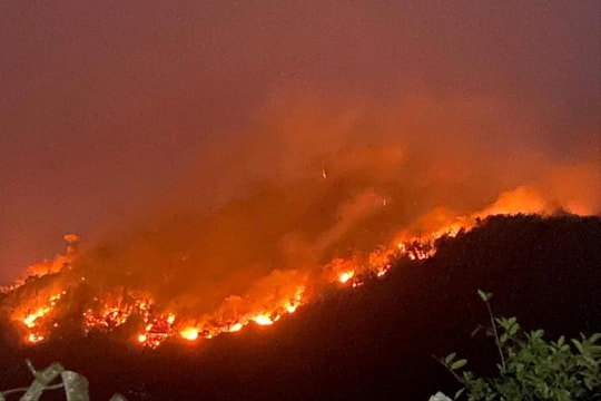 Tuyên Quang: Đã dập tắt đám cháy rừng tại núi Nghiêm, 1 người tử vong khi tham gia chữa cháy