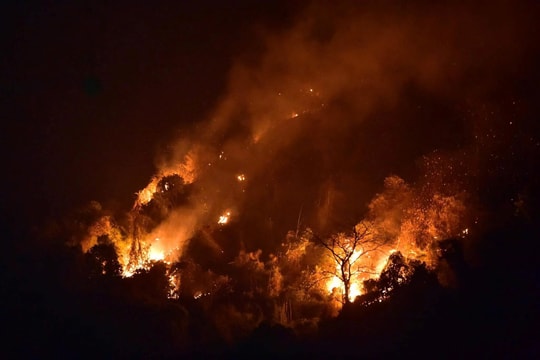 Các tỉnh miền núi tăng cường phòng, chữa cháy rừng