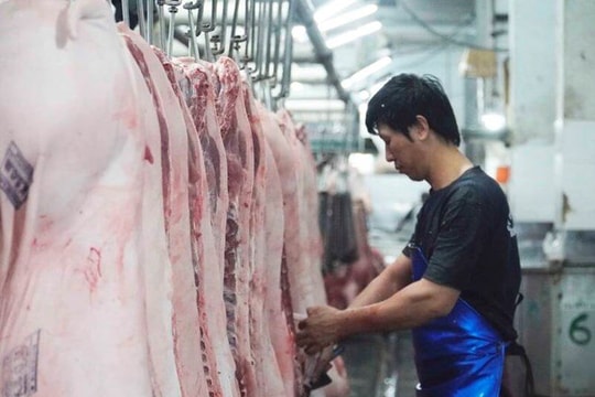 Thịt heo, cao su sắp giao dịch trên sàn hàng hóa