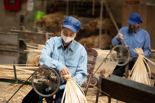 Phấn đấu từ nay đến năm 2030 có thêm ít nhất 1 triệu doanh nghiệp