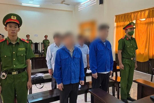 Cựu Giám đốc Vườn Quốc gia U Minh Thượng và đồng phạm hầu tòa