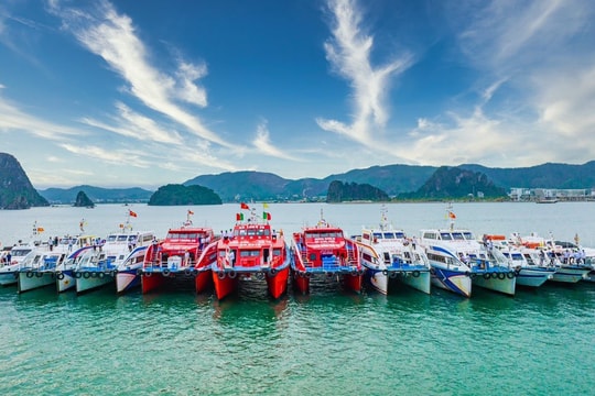 Vé tàu không tăng giá, du lịch Cô Tô thêm hấp dẫn