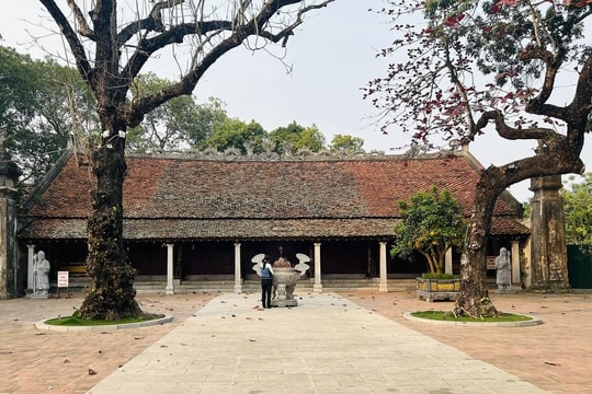 Thanh Hóa phê bình việc chậm triển khai di tích Thái Miếu