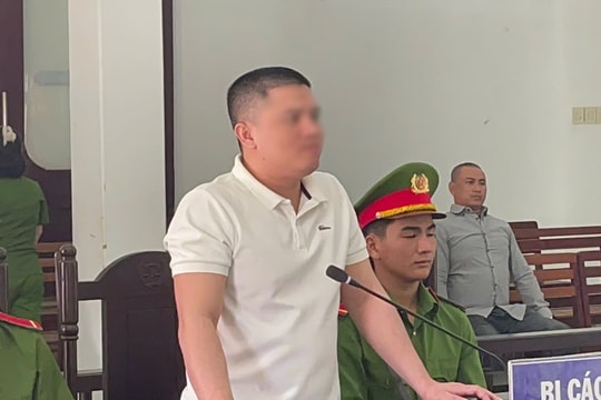 Cất giấu súng, đạn thanh niên lĩnh án tù