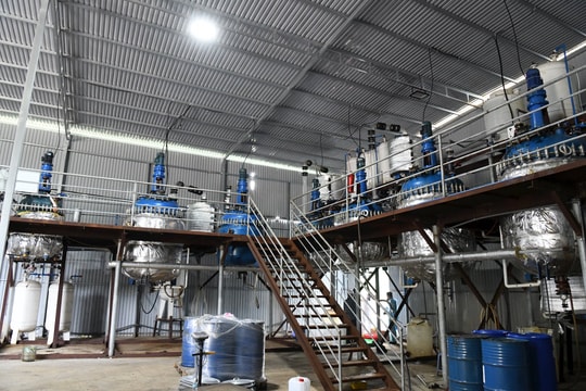 Bí mật đằng sau tay chơi cá cảnh ngoại quốc thuê nhiều nhà xưởng ở Việt Nam