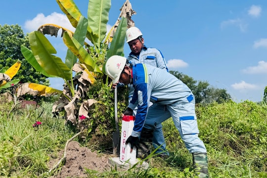 TP.HCM thu hồi đất để làm cao tốc TP.HCM - Mộc Bài