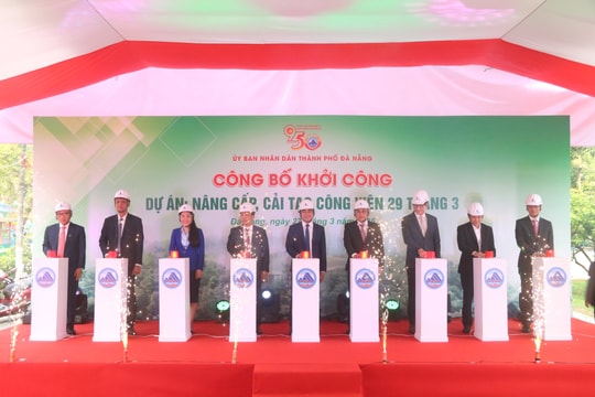 Diện mạo mới cho không gian xanh Công viên 29 tháng 3