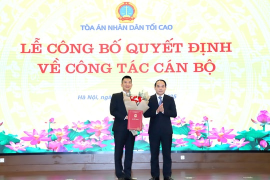 Bổ nhiệm Thư ký Bí thư Trung ương Đảng, Chánh án TANDTC