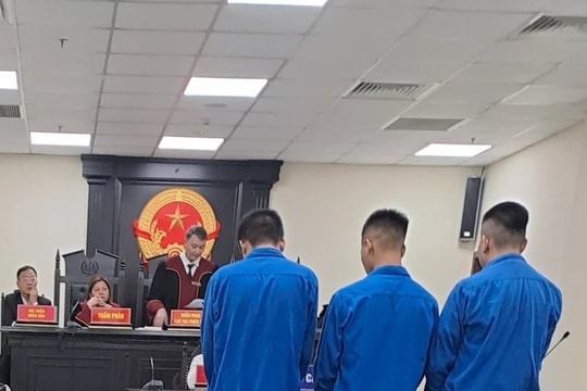 Gần 60 năm tù chia cho nhóm tìm người đồng tính để cướp tài sản