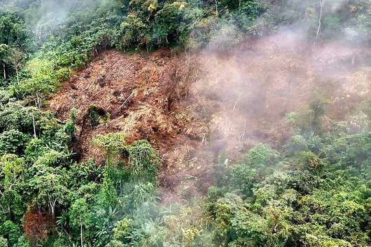 Hàng nghìn mét vuông rừng đặc dụng ở Na Hang bị hủy hoại