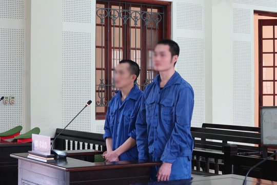 Hai anh em lĩnh án tử sau chuyến hàng định mệnh