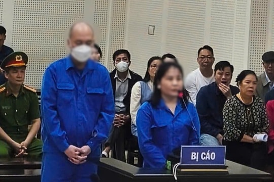 Dùng hợp đồng giả để lừa đảo hàng chục tỉ đồng