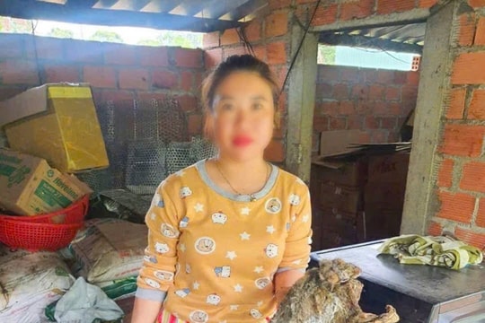 Mua rắn hổ mang và chồn bay cất giấu trong tủ đông lạnh