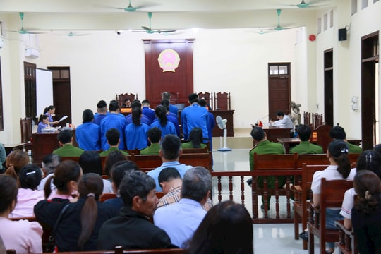 Xét xử nhóm bị cáo chứa chấp, tổ chức và sử dụng ma túy