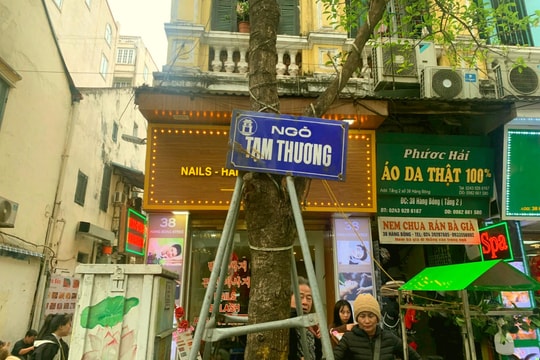 Thương một đời, đâu phải Tạm Thương