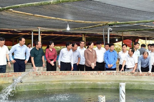 Lâm Bình (Tuyên Quang), khai thác tốt thế mạnh nông nghiệp gắn với phát triển du lịch