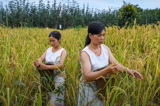 Sức sống mới nơi biên viễn
