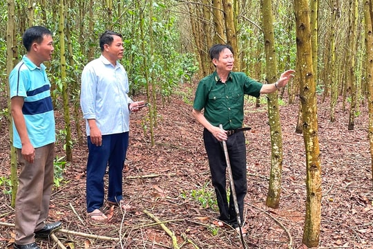 Cựu chiến binh Nghĩa Đàn thắp cơ hội, mở thành công