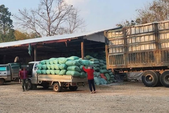 Xử phạt 70 triệu đồng vì vận chuyển hàng lậu