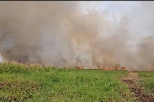 Cháy lớn ở khu đất trống hàng nghìn m² tại TP.HCM