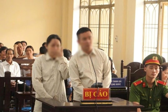 Giả chữ ký của chủ đất, lừa đảo chiếm đoạt hơn 94 tỉ đồng