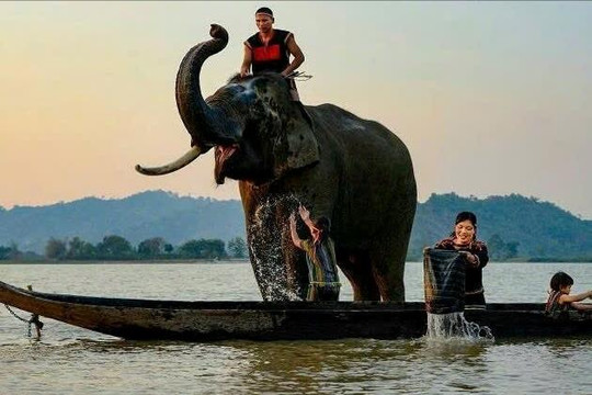 Huyền thoại độc mộc giữa hồ Lắk
