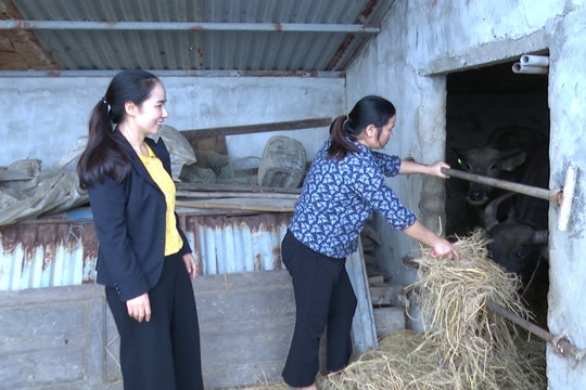 Từ khó khăn đến thịnh vượng: Hành trình thay đổi nhờ nguồn vốn chính sách