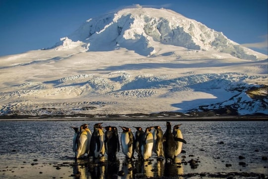 Ông Trump áp thuế đối với các hòn đảo không có người ở gần Nam Cực
