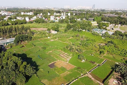 Bồi thường, hỗ trợ do phải di dời mồ mả khi Nhà nước thu hồi đất