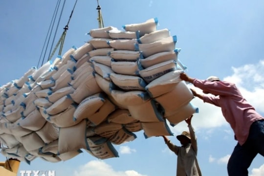 “Mức thuế Hoa Kỳ dự kiến áp cho hàng hóa Việt Nam là chưa công bằng”