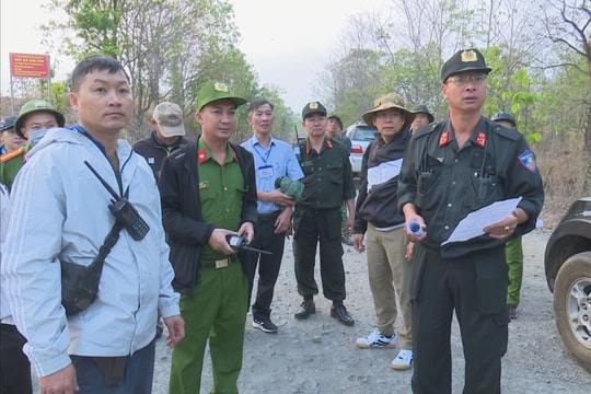 Đắk Lắk: Thu hồi 742 ha đất lâm nghiệp bị lấn chiếm