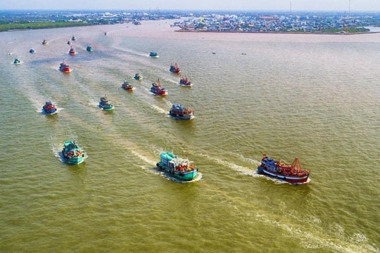 Lời thỉnh nguyện từ chân sóng